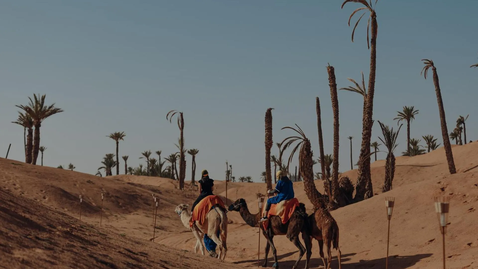 Palmeraie Oasis Camp - A Member Of Barcelo Hotel Group Marrakesh Luxury tent