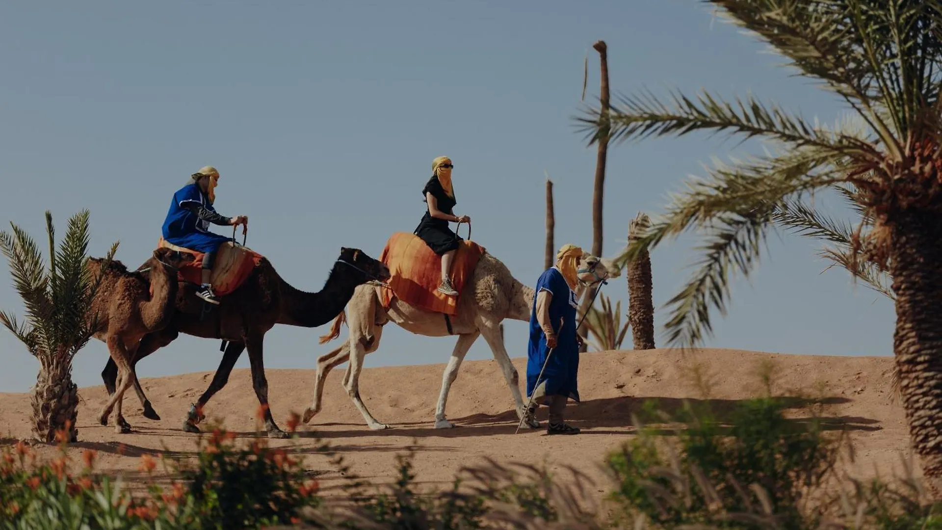 Palmeraie Oasis Camp - A Member Of Barcelo Hotel Group Marraquexe 0*,
